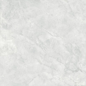 Gach Dong Tam 6060TRANGAN004-FP-2