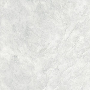 Gach Dong Tam 6060TRANGAN004-FP-3