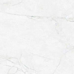 Gach Dong Tam 6060TRANGAN006-FP-2