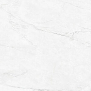 Gach Dong Tam 6060TRANGAN006-FP-3