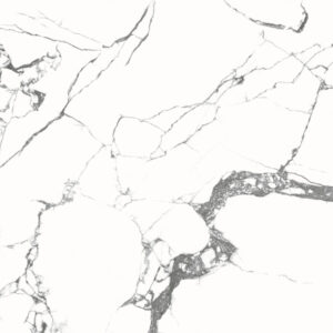 Gach Dong Tam 8080DONGVAN010-FP-H+ 3