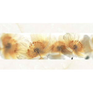 Gach Dong Tam D3060ROXY007