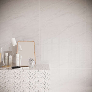 Gach op tuong Dong Tam 4080REGAL015-H