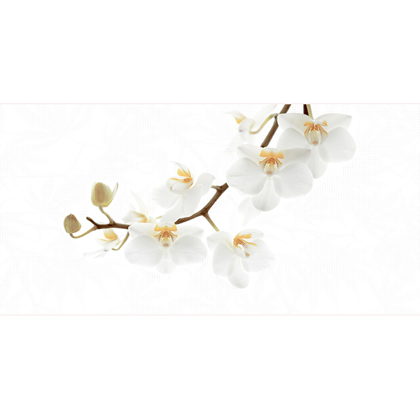 Gạch Đồng Tâm D4080ORCHID001-H+