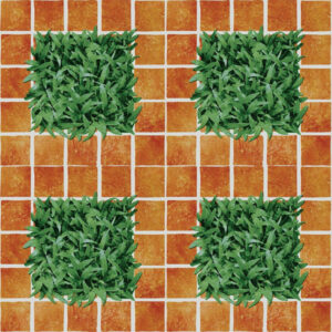 Map gach Dong Tam 4040CLG002