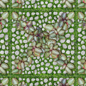 Map gach Dong Tam 4040GREENERY004