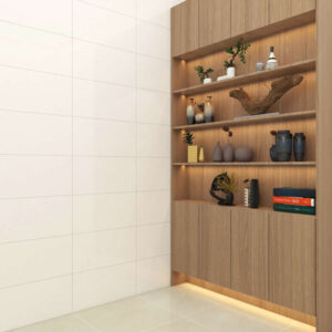 gach Dong Tam 3060SNOW001 op tuong dep