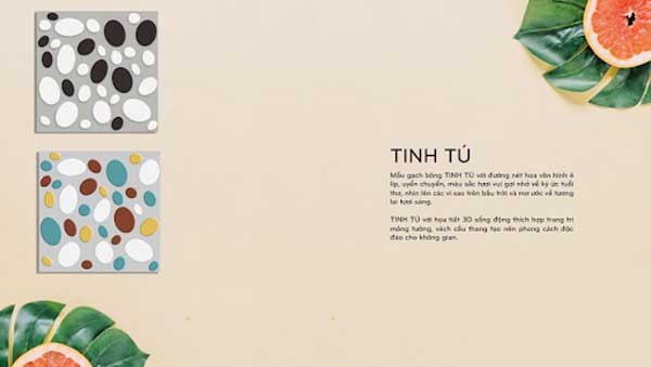 gạch bông đồng tâm 6