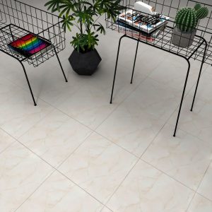 Gạch Đồng Tâm 3030NGOCTRAI002