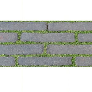 Gạch Đồng Tâm 3060GREENERY007