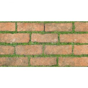 Gạch Đồng Tâm 3060GREENERY008