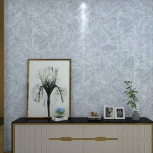 Gạch đồng tâm 3060CLOUD004