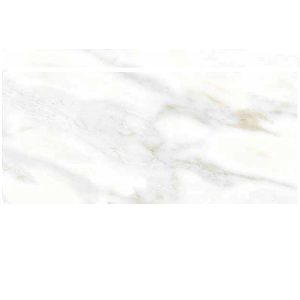 Gạch đồng tâm 3060GECKO009