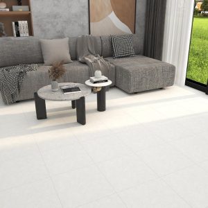 Gạch Đồng Tâm 456
