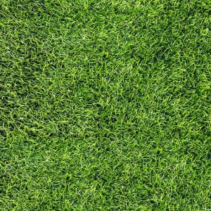 Gạch lát sân vườn 4040GREENERY002