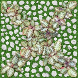 Gạch lát sân vườn 4040GREENERY004