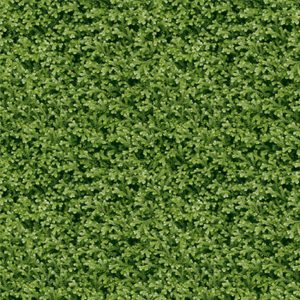 Gạch lát sân vườn 4040THESEA001