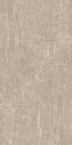 Gạch Đồng Tâm 4080FANSIPAN001-FP-H+