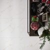 Gạch Đồng Tâm 4080GECKO002