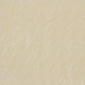 Gạch Đồng Tâm 8080DB100-NANO