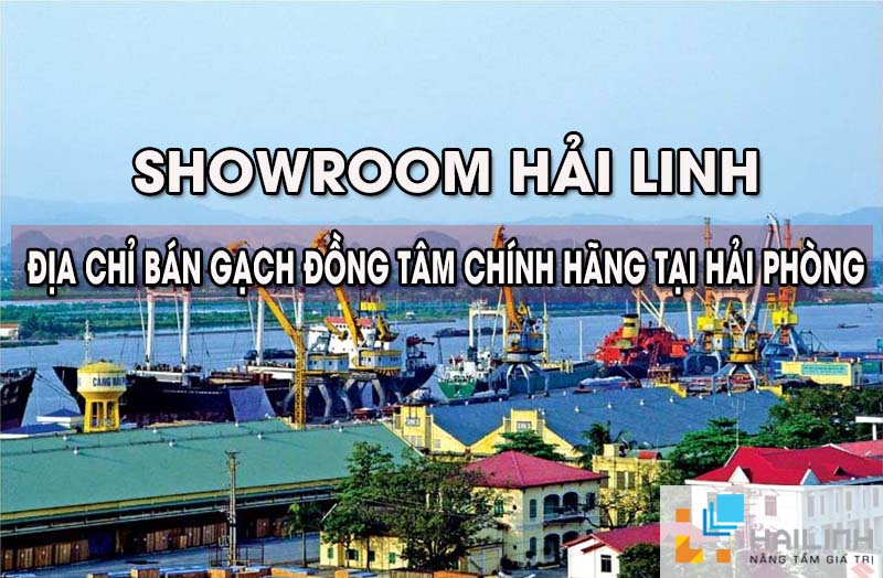 gạch Đồng Tâm Hải Phòng chất lượng đẳng cấp giá TỐT gạch Đồng Tâm Hải Phòng chất lượng đẳng cấp giá TỐT 1
