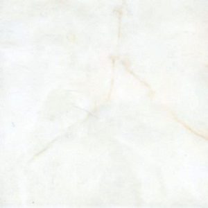 Gạch lát nền Đồng Tâm 3030NGOCTRAI002