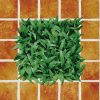 Gạch lát sân vườn 4040CLG002