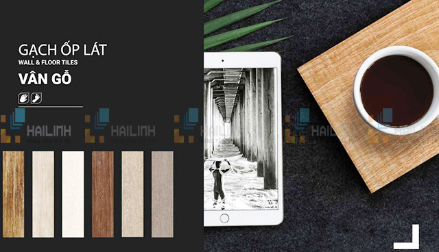 Gạch vân gỗ Đồng Tâm