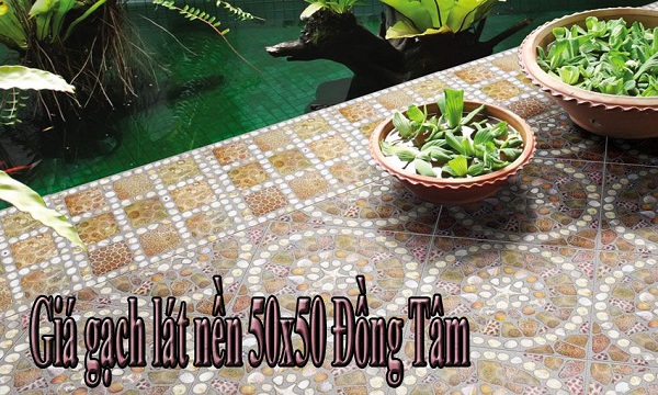 gia gach lat nen 50 50 dong tam