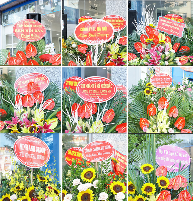 hoa-khai-truong-1 hoa khai truong 1