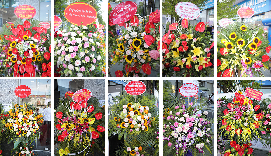hoa-khai-truong hoa khai truong