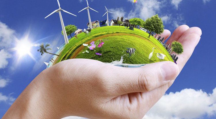 kien-tao-khong-gian-xanh-nang-cao-suc-khoe-tang-cao-tuoi-tho-8_1 kien tao khong gian xanh nang cao suc khoe tang cao tuoi tho 8 1