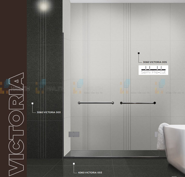 phong mau gach dong tam 3060victoria005