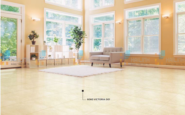 phong-mau-gach-dong-tam-6060victoria0011_3