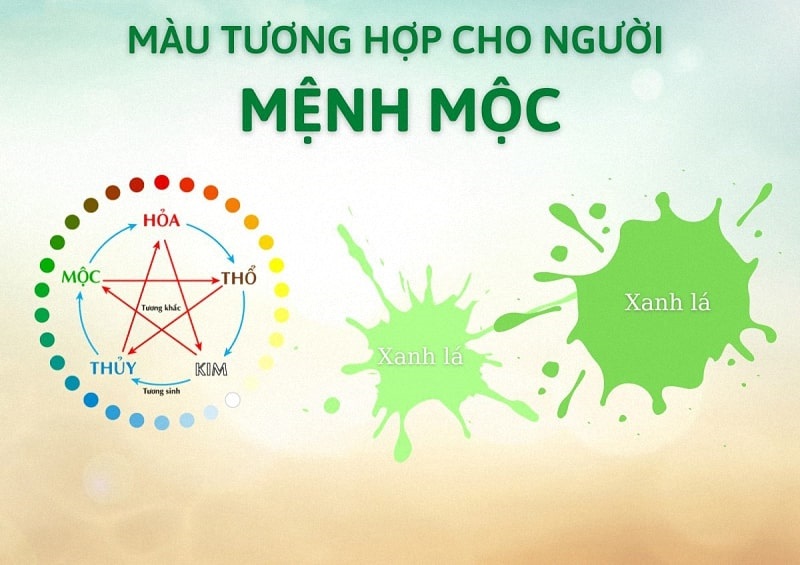 tuong mau xanh nen lat gach mau gi 04