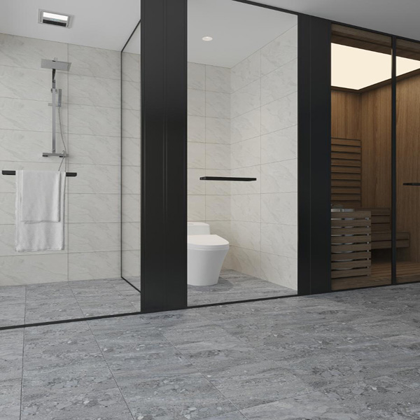 Gach Dong Tam 3030GECKO006 phong mau