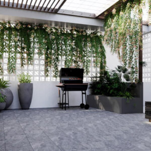 Gach Dong Tam 3030GECKO006 san vuon