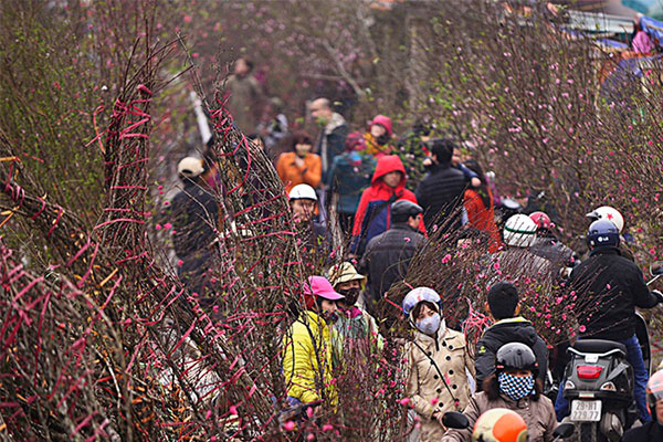 Thoi tiet tet mien bac