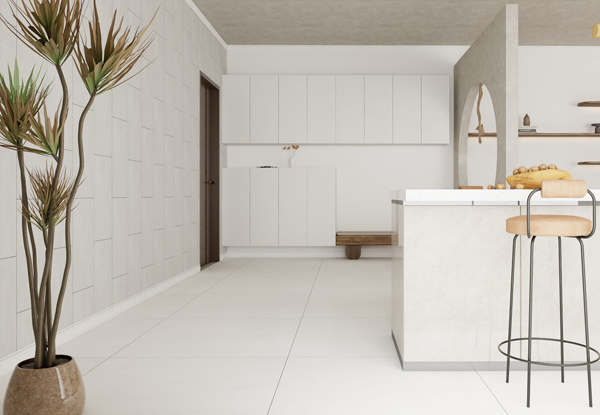 Gach Dong Tam 100MOMENT001-H+ phong an