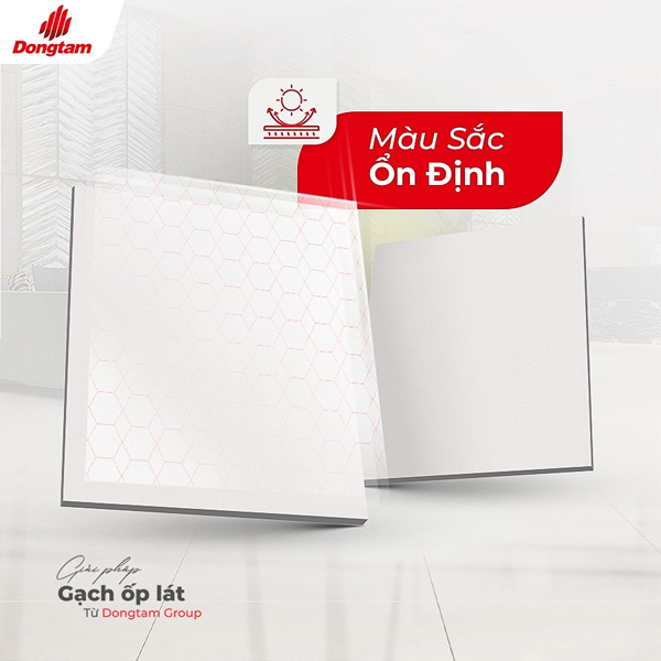 Gach Dong Tam ben mau